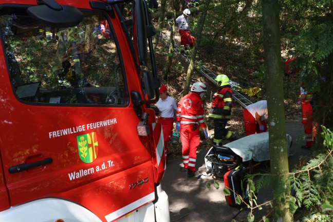 Personenrettung: Mann in einem Waldst�ck in Wallern an der Trattnach unter Baum eingeklemmt