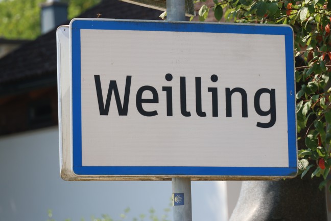 Gro�einsatz: Sieben Feuerwehren bei Flurbrand in einem Jungwald in St. Florian im Einsatz