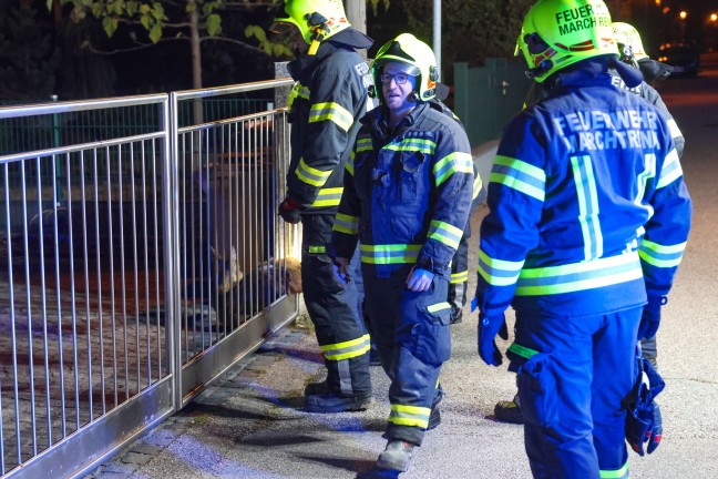 Marchtrenk: Feststeckendes Reh durch Einsatzkr�fte der Feuerwehr aus Einfahrtstor befreit