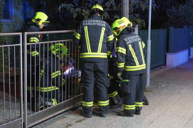 Marchtrenk: Feststeckendes Reh durch Einsatzkr�fte der Feuerwehr aus Einfahrtstor befreit