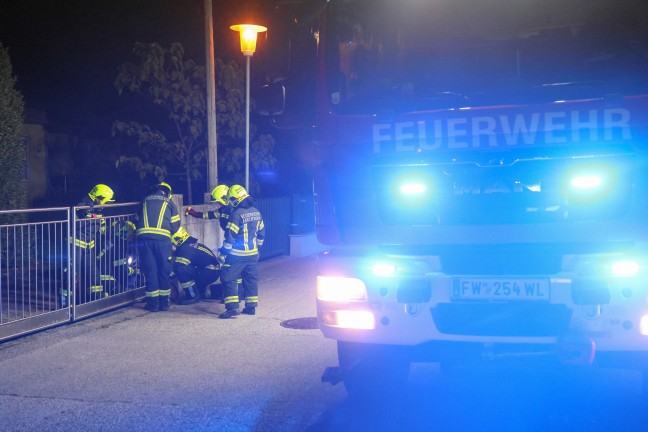 Marchtrenk: Feststeckendes Reh durch Einsatzkr�fte der Feuerwehr aus Einfahrtstor befreit