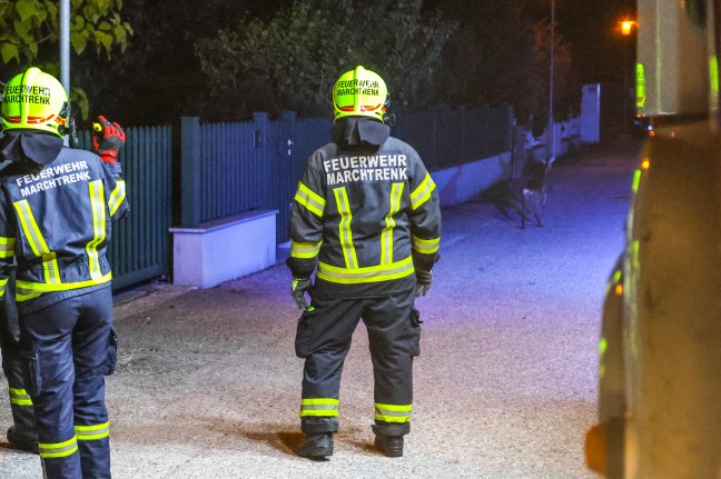 Marchtrenk: Feststeckendes Reh durch Einsatzkr�fte der Feuerwehr aus Einfahrtstor befreit
