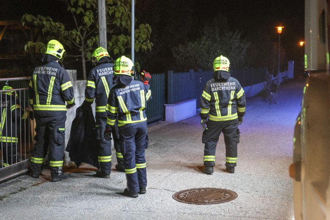 Marchtrenk: Feststeckendes Reh durch Einsatzkr�fte der Feuerwehr aus Einfahrtstor befreit