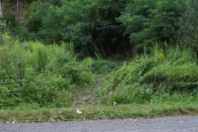 T�dlichen Verkehrsunfall in Aschach an der Donau erst eineinhalb Tage sp�ter entdeckt