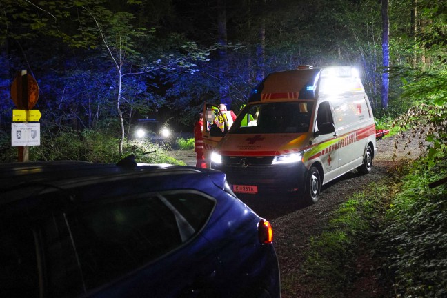 N�chtliche Personenrettung durch Feuerwehr, Rettung und Polizei aus unwegsamem Gel�nde in Ro�leithen