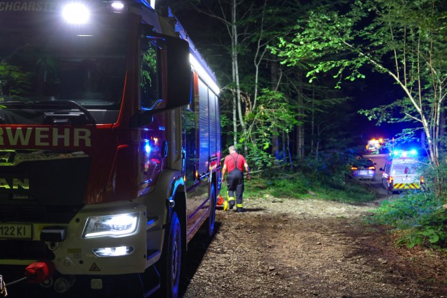 N�chtliche Personenrettung durch Feuerwehr, Rettung und Polizei aus unwegsamem Gel�nde in Ro�leithen