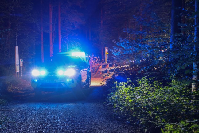 N�chtliche Personenrettung durch Feuerwehr, Rettung und Polizei aus unwegsamem Gel�nde in Ro�leithen