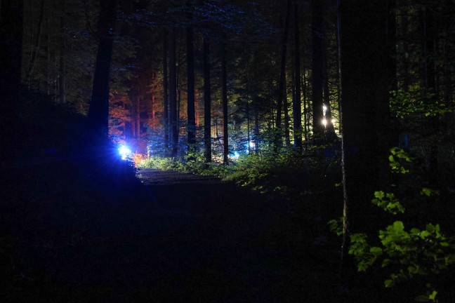 N�chtliche Personenrettung durch Feuerwehr, Rettung und Polizei aus unwegsamem Gel�nde in Ro�leithen