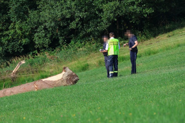 T�dlicher Forstunfall in einem h�hergelegenen Waldst�ck in Vorderstoder