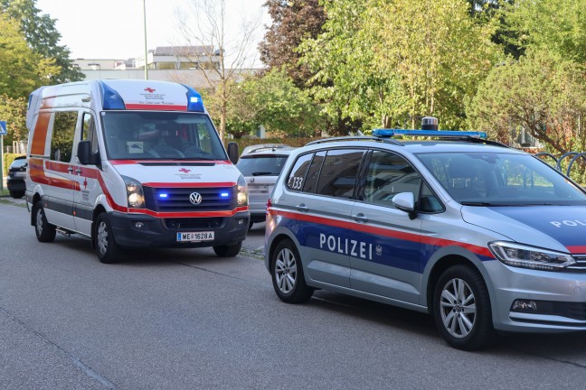 Personenrettung: Einsatzkr�fte befreien in Wels-Vogelweide ein Kind aus einem Auto