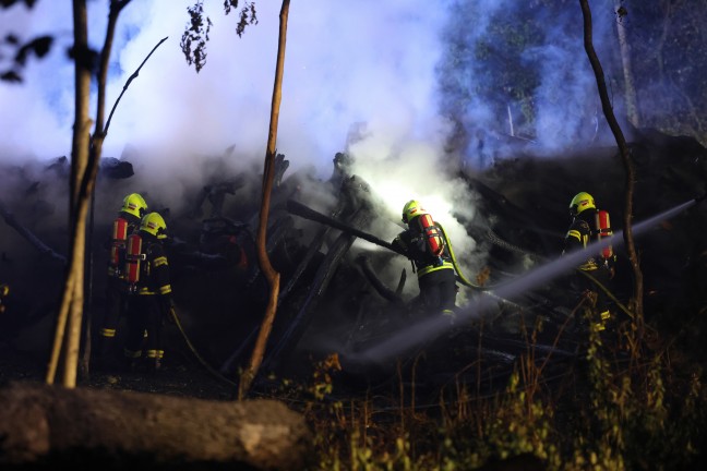 Waldbrand verhindert: Gr��erer Einsatz bei Brand eines gro�en Haufens gelagerter Holzst�mme in Traun