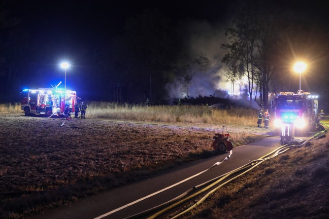 Waldbrand verhindert: Gr��erer Einsatz bei Brand eines gro�en Haufens gelagerter Holzst�mme in Traun