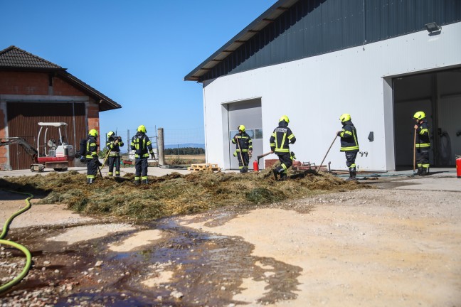 Heuballen brannte: Schnelle Entwarnung nach gemeldetem Brand eines Bauernhofes in Thalheim bei Wels