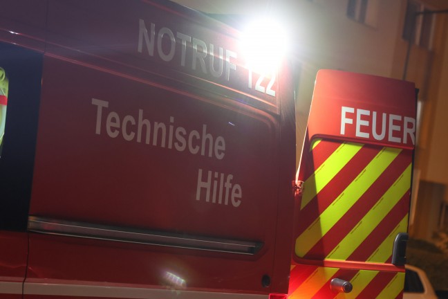 Putziger Igel von Einsatzkr�ften der Feuerwehr in Wels-Lichtenegg aus Rohr eines Pollers gerettet