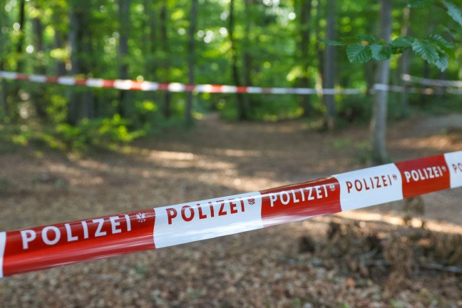 Mordalarm in V�cklabruck: Frau (53) mit Stichverletzungen in einem Waldst�ck an der Ager aufgefunden