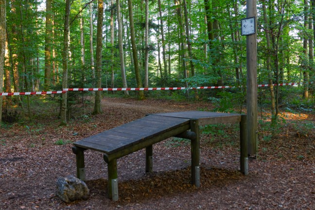 Mordalarm in V�cklabruck: Frau (53) mit Stichverletzungen in einem Waldst�ck an der Ager aufgefunden