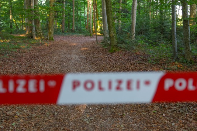 Mordalarm in V�cklabruck: Frau (53) mit Stichverletzungen in einem Waldst�ck an der Ager aufgefunden