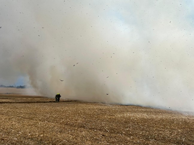 Drei Feuerwehren bei gr��erem Feldbrand in Steinerkirchen an der Traun im Einsatz