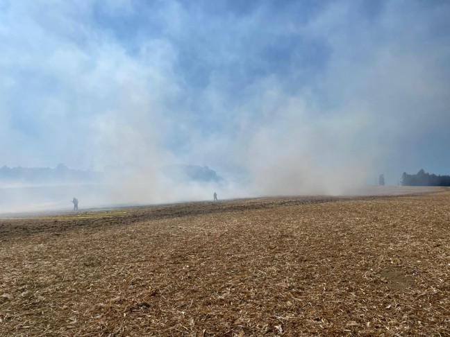 Drei Feuerwehren bei gr��erem Feldbrand in Steinerkirchen an der Traun im Einsatz