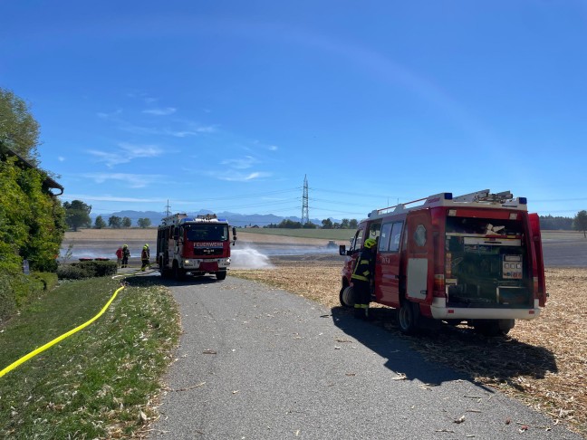 Drei Feuerwehren bei gr��erem Feldbrand in Steinerkirchen an der Traun im Einsatz