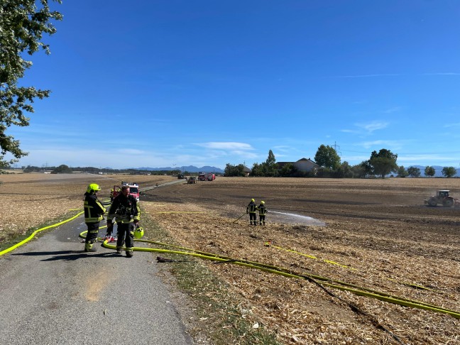 Drei Feuerwehren bei gr��erem Feldbrand in Steinerkirchen an der Traun im Einsatz