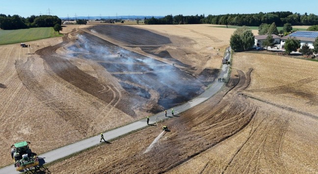 Drei Feuerwehren bei gr��erem Feldbrand in Steinerkirchen an der Traun im Einsatz