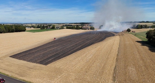 Drei Feuerwehren bei gr��erem Feldbrand in Steinerkirchen an der Traun im Einsatz