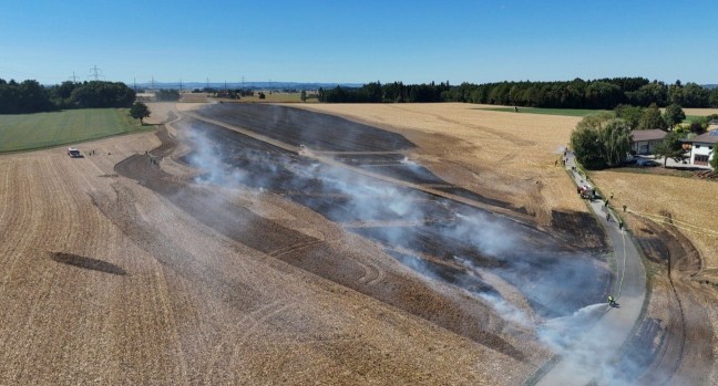 Drei Feuerwehren bei gr��erem Feldbrand in Steinerkirchen an der Traun im Einsatz