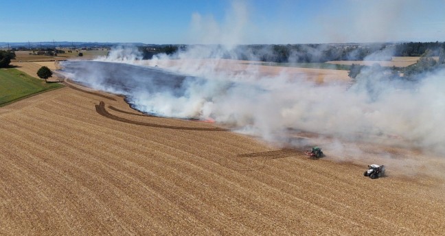 Drei Feuerwehren bei gr��erem Feldbrand in Steinerkirchen an der Traun im Einsatz