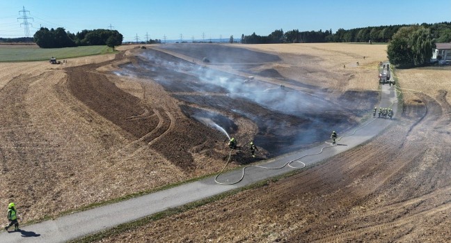 Drei Feuerwehren bei gr��erem Feldbrand in Steinerkirchen an der Traun im Einsatz