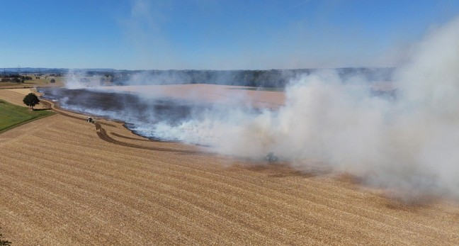 Drei Feuerwehren bei gr��erem Feldbrand in Steinerkirchen an der Traun im Einsatz