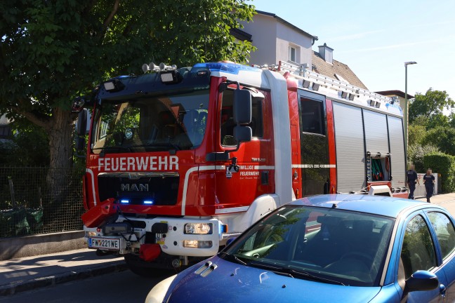 Brand einer Thujenhecke in einem Garten in Wels-Pernau rasch gel�scht