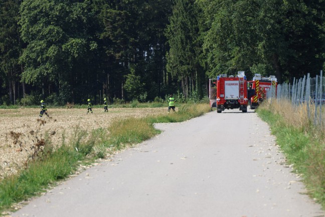 Glosende Stelle in einem Feld bei Schlei�heim durch Feuerwehr rasch abgel�scht