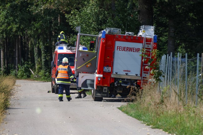 Glosende Stelle in einem Feld bei Schlei�heim durch Feuerwehr rasch abgel�scht