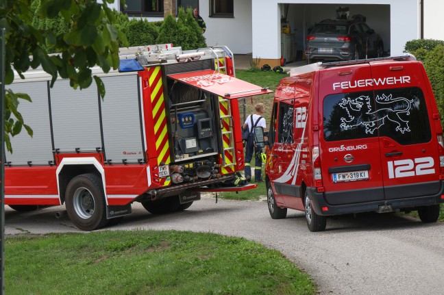 Erh�hte Kohlenmonoxidkonzentration nach Pelletslieferung in einem Wohnhaus in Gr�nburg