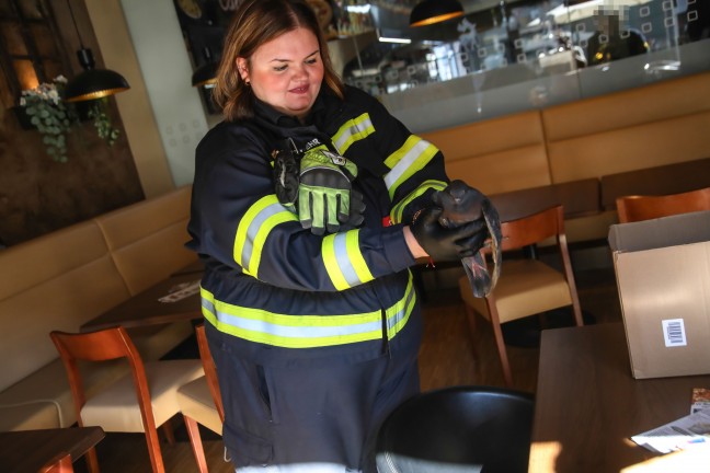 Tierrettung in Marchtrenk: Verletzte Taube durch Feuerwehr abgeholt