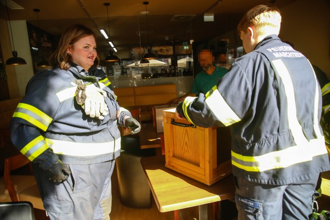 Tierrettung in Marchtrenk: Verletzte Taube durch Feuerwehr abgeholt