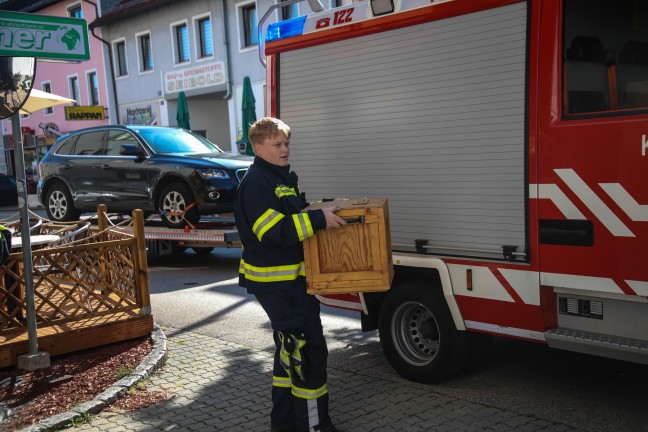 Tierrettung in Marchtrenk: Verletzte Taube durch Feuerwehr abgeholt