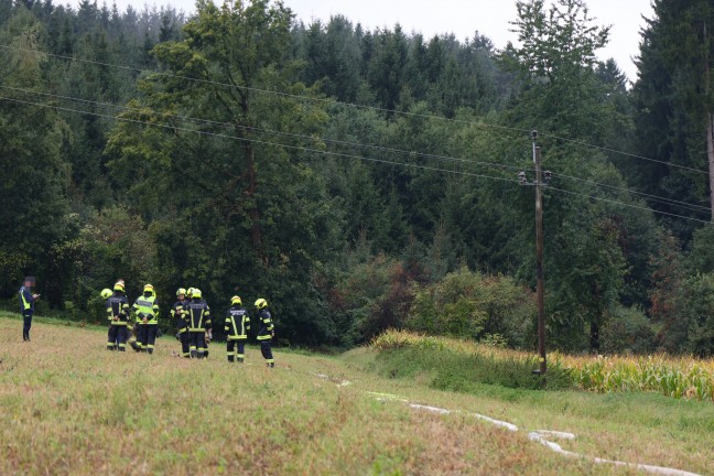 Feuerwehr bei Brand eines Mittelspannungsmastens auf einem Feld in Edt bei Lambach im Einsatz