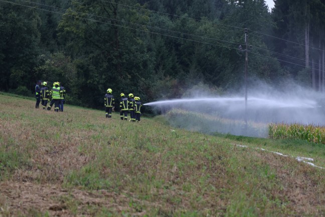 Feuerwehr bei Brand eines Mittelspannungsmastens auf einem Feld in Edt bei Lambach im Einsatz