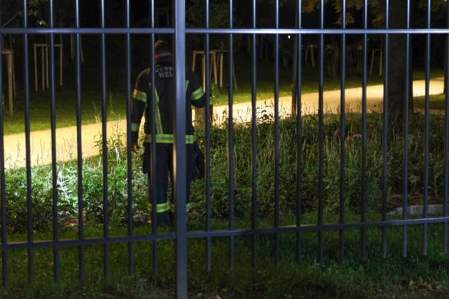 Feuerwehr bei Suche nach Schlange in Wels-Innenstadt im Einsatz