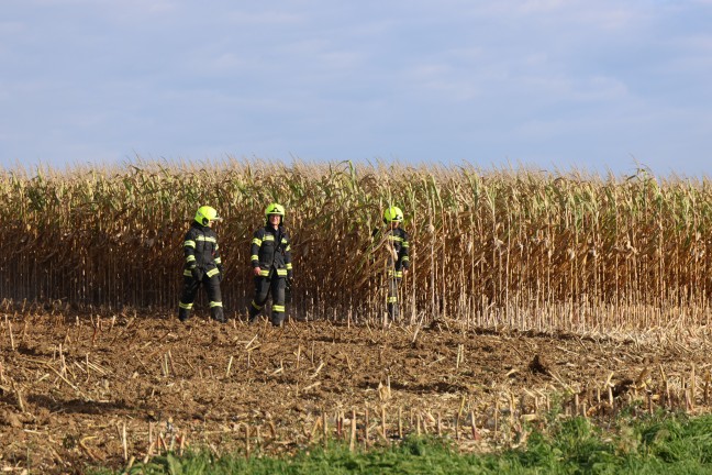 Feldbrand in Sipbachzell rechtzeitig entdeckt und unter Kontrolle gebracht