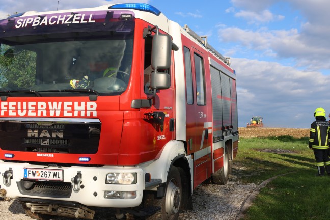 Feldbrand in Sipbachzell rechtzeitig entdeckt und unter Kontrolle gebracht