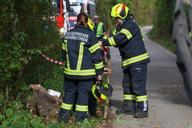 Postzustellfahrzeug in Gunskirchen bei mutma�lichem Ausweichman�ver gegen Baum gekracht
