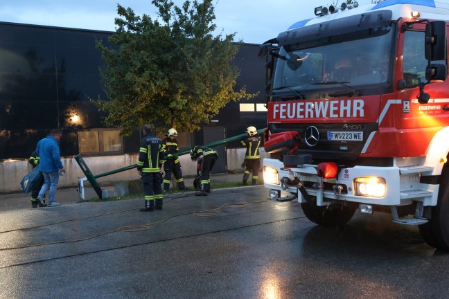 Stra�enlaterne in Schieflage: Feuerwehr, Polizei und Elektriker in Wels-Neustadt im Einsatz