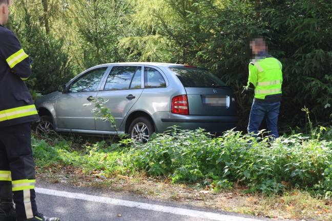 Auto bei Verkehrsunfall in Waizenkirchen in Zaun beziehungsweise Jungwald gelandet