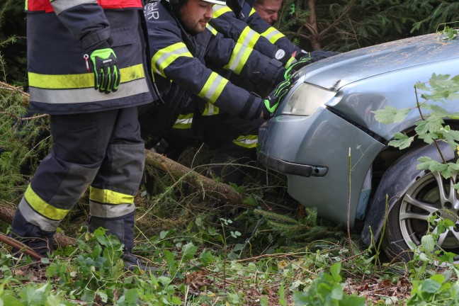 Auto bei Verkehrsunfall in Waizenkirchen in Zaun beziehungsweise Jungwald gelandet