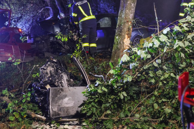 Motorblock herausgerissen: Auto bei schwerem Verkehrsunfall in Pollham frontal gegen Baum gekracht
