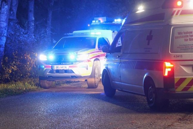 Motorblock herausgerissen: Auto bei schwerem Verkehrsunfall in Pollham frontal gegen Baum gekracht