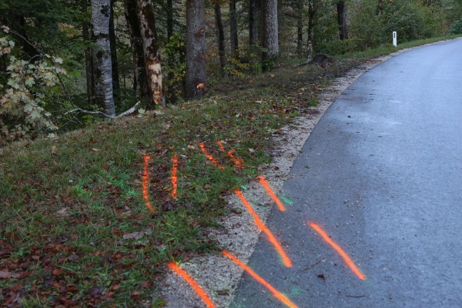 T�dlicher Verkehrsunfall: Beifahrer (29) starb bei Crash gegen Baum in Ebensee am Traunsee